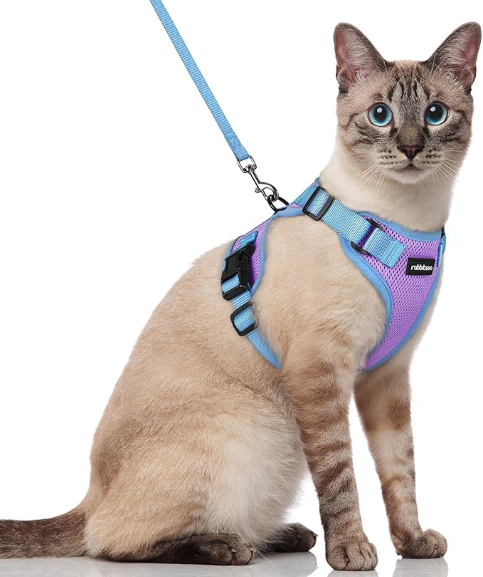 rabbitgoo Cat Harness and Leash Set, Escape Proof Soft Adjustable Vest Harnesses by rabbitgoo