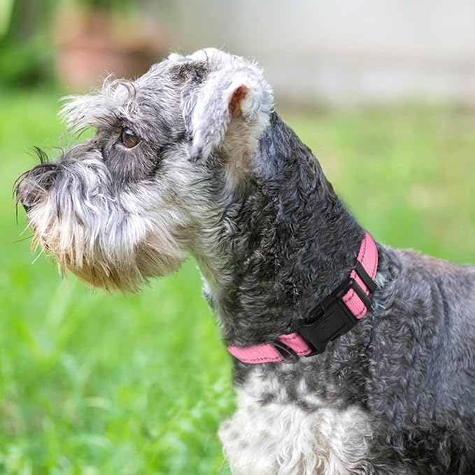 Joytale Reflective Dog Collar, Soft Neoprene Padded, Metal D-Ring, Nylon Pet - Image 2
