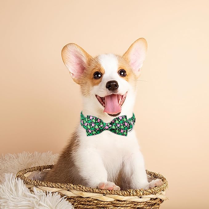 MR. CHUBBYFACE St.Patrick's Pink Green Clover Dog Collar - Image 5
