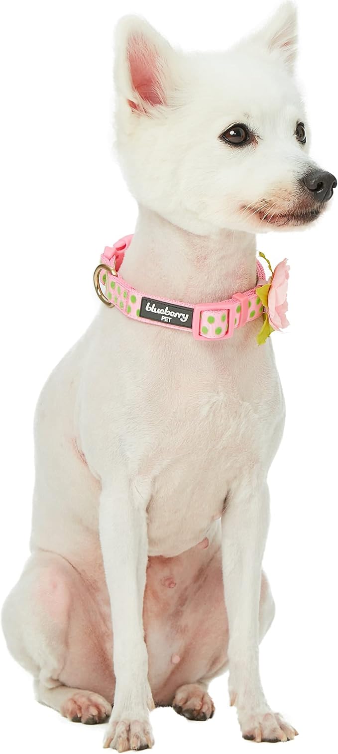 Blueberry Pet Adjustable Flocking Dog Collar - Image 4