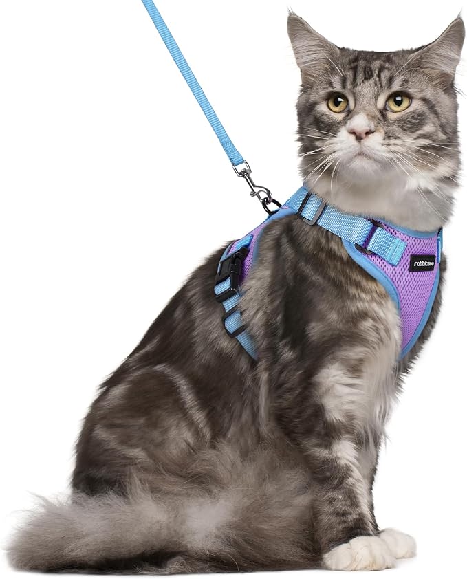 rabbitgoo Cat Harness and Leash Set, Escape Proof Soft Adjustable Vest Harnesses by rabbitgoo