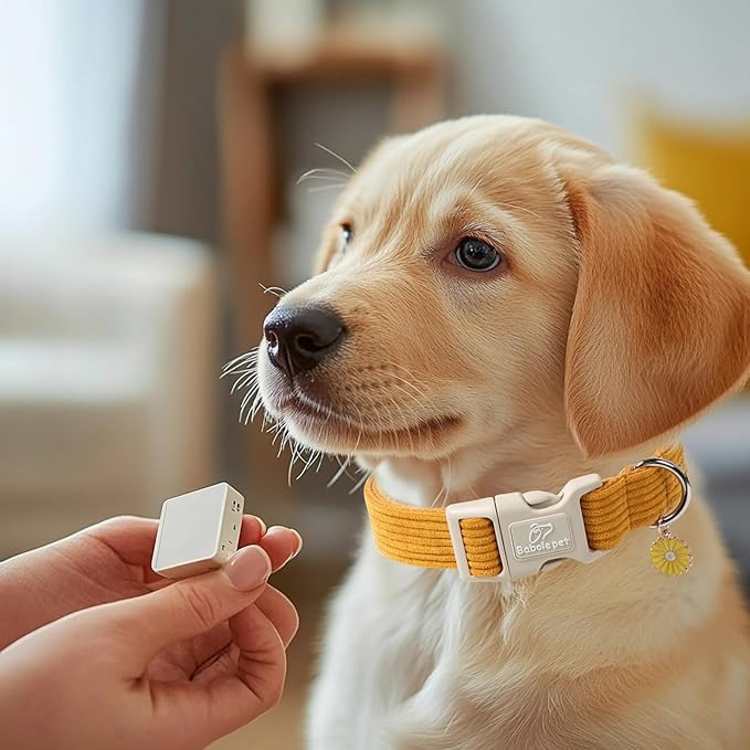 Cute Corduroy Dog Collar - Image 5