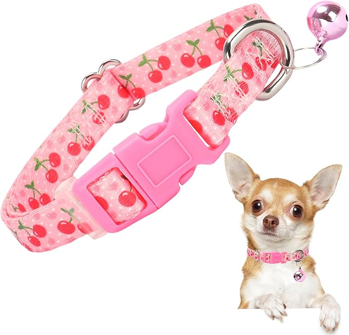 XS Dog Collar with Bell by ONEFOJOJO