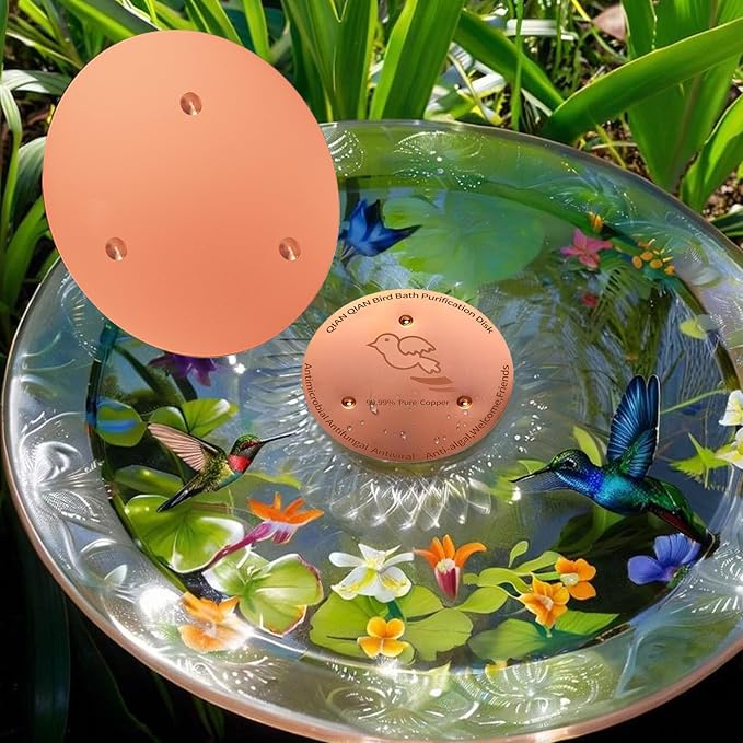 QIANQIAN Bird Bath Copper Disk, Copper Bird Bath Purification Disk - Image 4