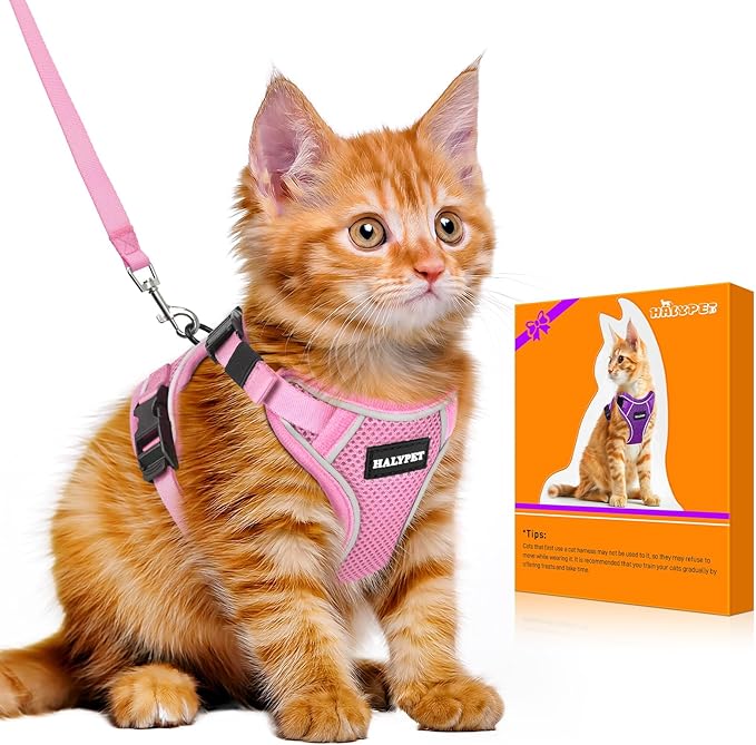 Halypet Cat Harness and Leash Set Escape Proof Adjustable Cat Leash Comfortable by DOMoreWithYourPet