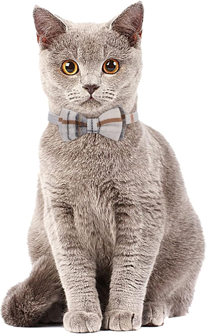 Faleela 2 Pack/Set Cat Collar - Image 4