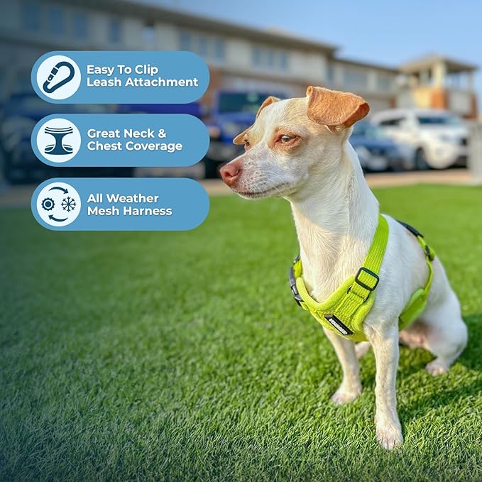 Best Pet Supplies Voyager Step-in Air All Weather Mesh Harness and Reflective - Image 5