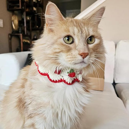 Cat Collar Breakaway, Kitten Collar - Image 5