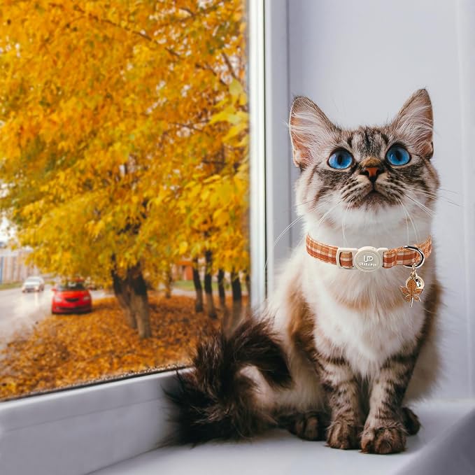 Cat Collar-2Pack Autumn Orange Plaid Kitten Collars-Halloween Plaid Breakaway - Image 5