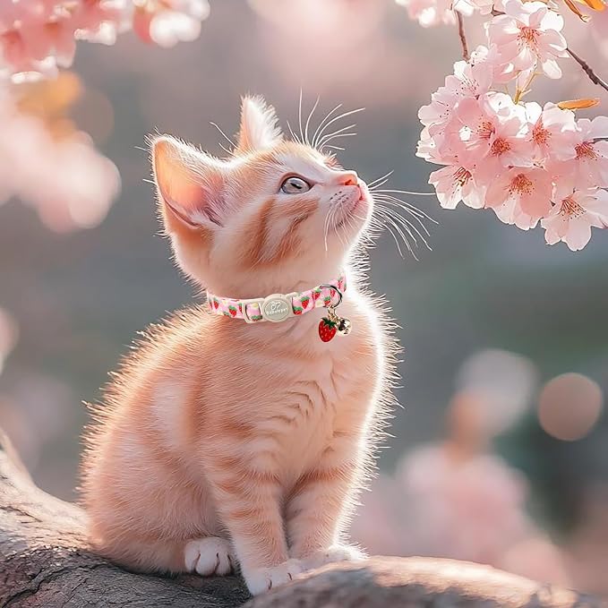 2 Pack Cotton Cat Collars - Image 5
