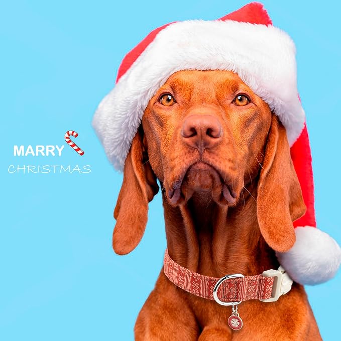 Faygarsle Christmas Dog Collar, Plastic Buckle - Image 6