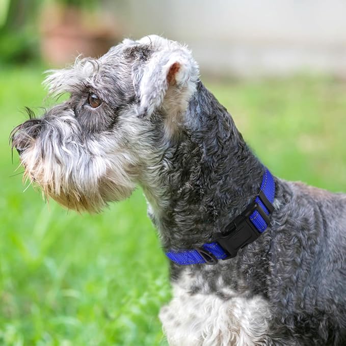 Joytale Reflective Dog Collar, Soft Neoprene Padded, Metal D-Ring, Nylon Pet - Image 2