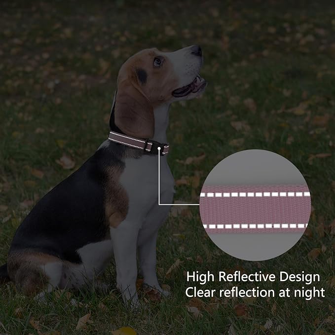 Reflective Dog Collar Padded - Image 5