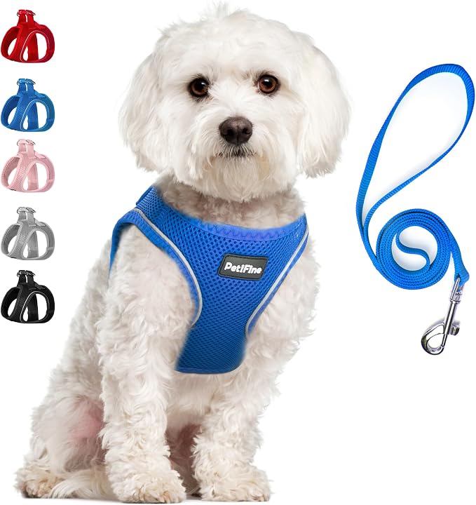 PetiFine Step in Small Dog Harness and Leash Set, Breathable All Weather Air by PetiFine