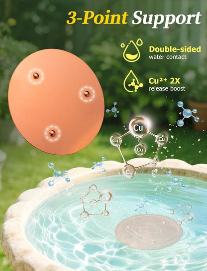 Mellbree Bird Bath Copper Disk, 0.6mm Reinforced 99.99% Pure Copper Cleaning - Image 5