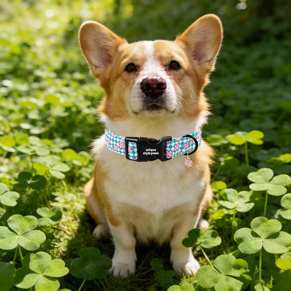 Unique style paws Dog Collar Plastic Buckle - Image 4