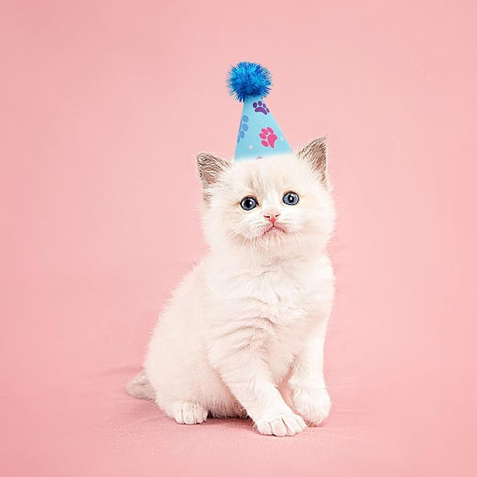 6pcs/Pack Mini Dog Party Hats for Small XS Cat Puppy Doggie Kitten Rabbit - Image 6