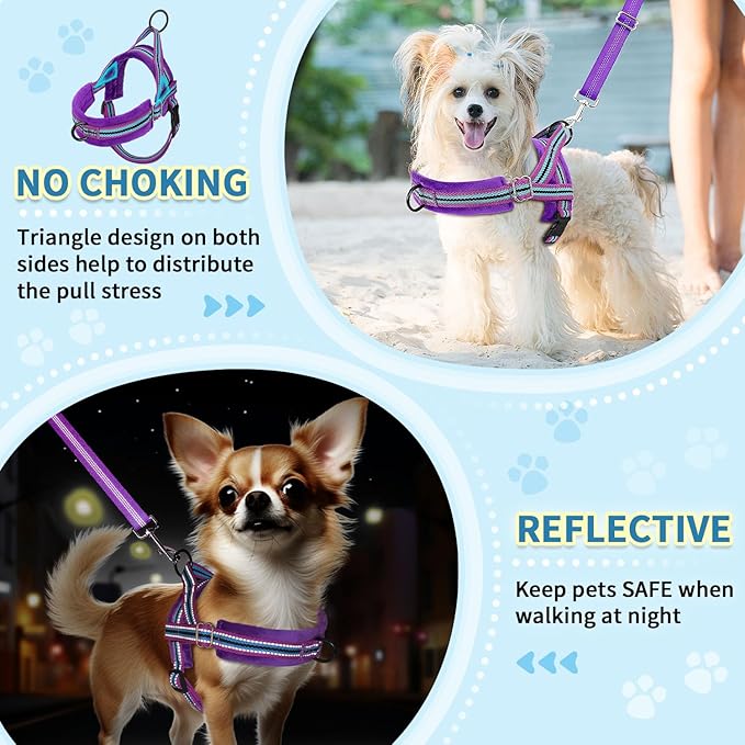 SlowTon No Pull Small Dog Harness and Leash Set, Puppy Soft Vest Harness Neck & - Image 3