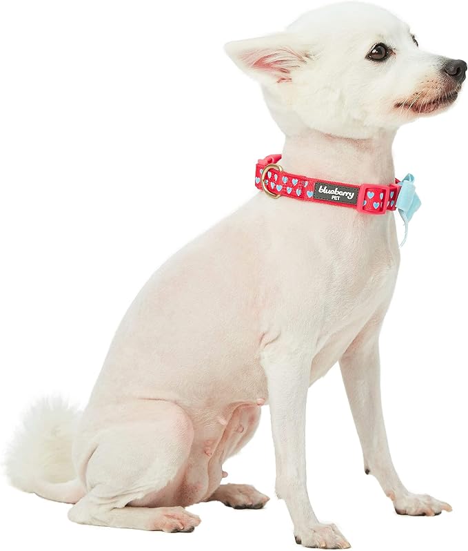 Blueberry Pet Valentines Day Dog Collar - Image 8