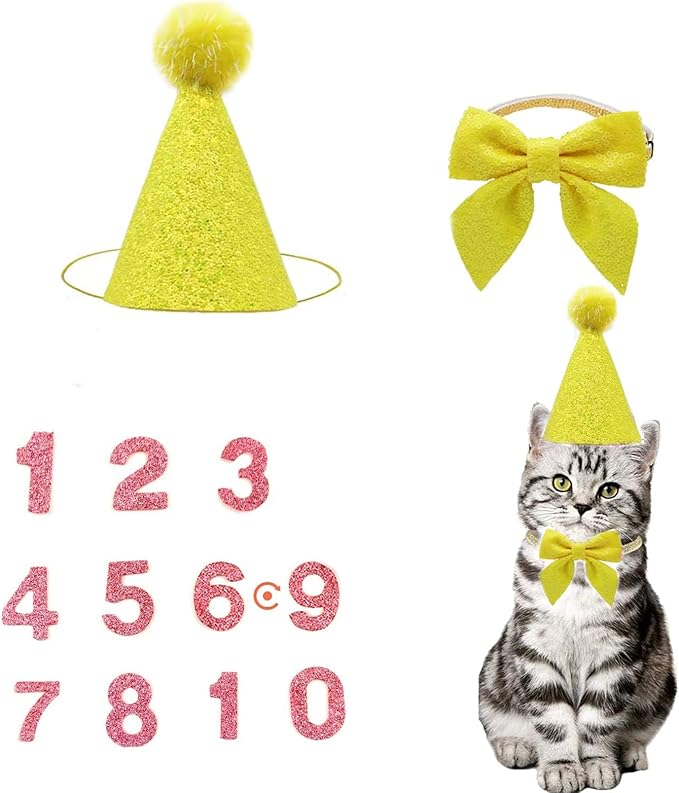 Christmas Pet Party Jazz Hat and Blingbling Bow Tie Breakaway Collar Set by Arogheiz