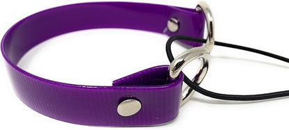 Sparky Pet Co - ECollar Replacement Strap - Bungee Dog Collar - Waterproof - - Image 3