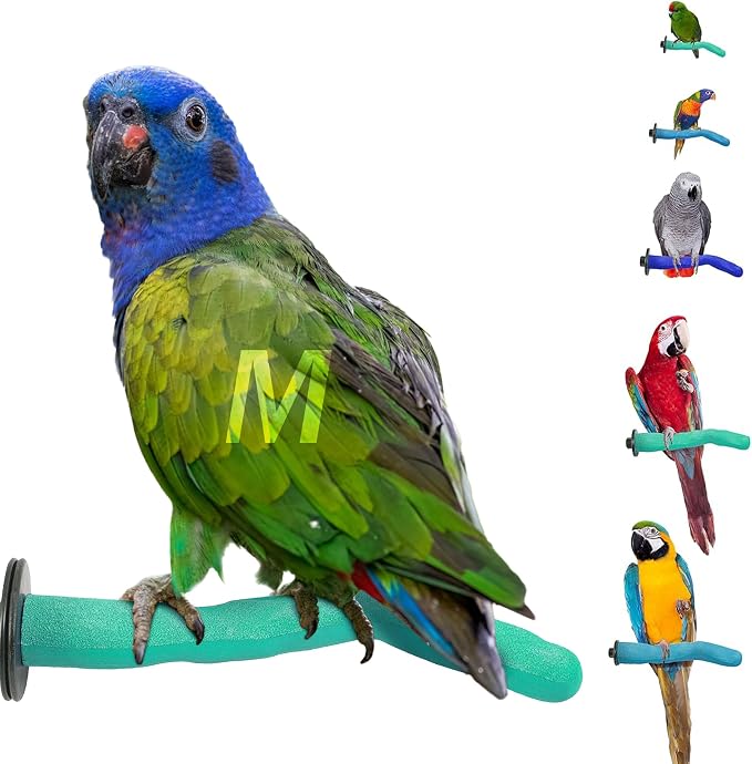 Sweet Feet & Beak Safety Pumice Bird Perch, Medium 1-1/4" X 12" by Sweet+Feet+%26+Beak