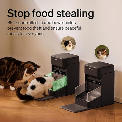 PETLIBRO RFID Automatic Cat Feeder, Collar Sensor - Image 4