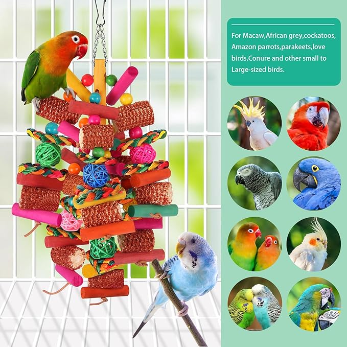 Kyouki Parrots Toys for Cockatiels, Parrotlets, Meyer's & Other Small/Medium - Image 3