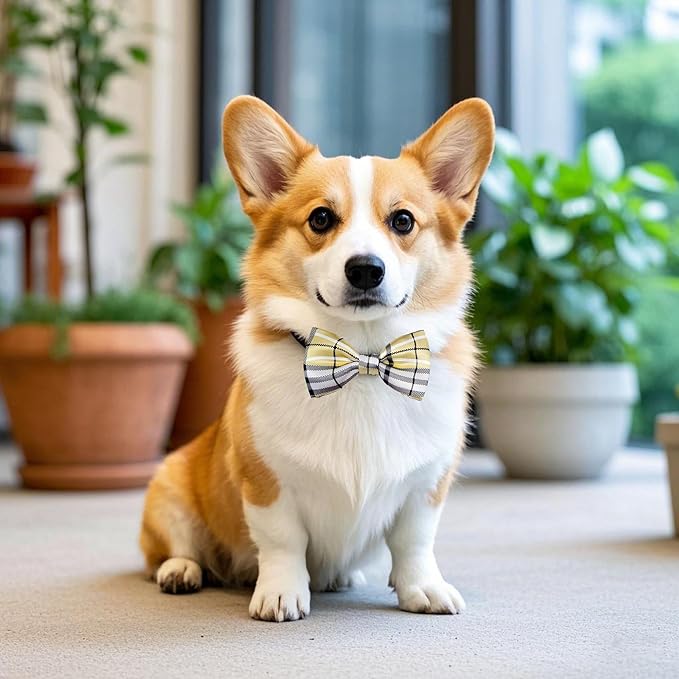 PET SHOW 8pcs Plaid Small Dogs Collar Bow Ties Puppies Cats Collar Charms - Image 7