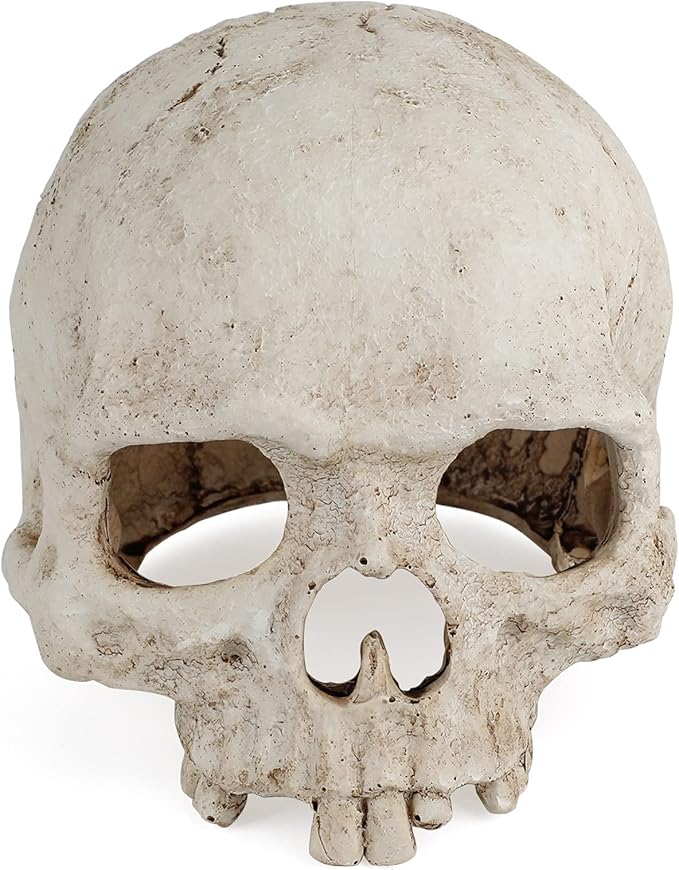 Uniclife Aquarium Skull Reptile House Decor Resin Head Skeleton Ornament by UnicLife