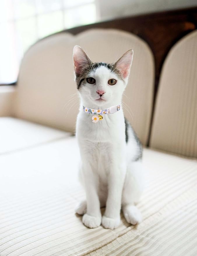 Cat Collar Breakaway with Bells, 3 Pack Safety Adjustable Pet Collars - Image 6