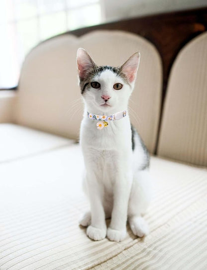 Cat Collar Breakaway with Bells, 3 Pack Safety Adjustable Pet Collars - Image 6