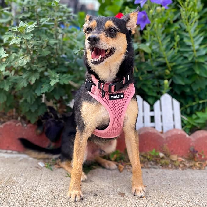 Voyager Step-in Pet Harness - Image 8