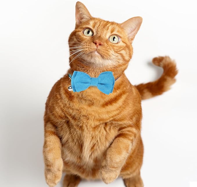 2 Pcs Boy Cat Collar with Bell Breakaway Cat Collars Cute Kitten Bow Tie Collar - Image 6