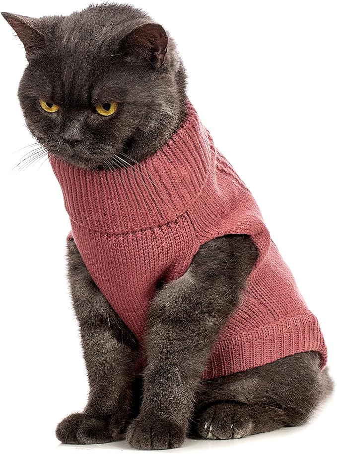 Stretchy Cat Sweater - Image 4