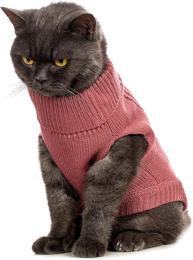 Stretchy Cat Sweater - Image 4
