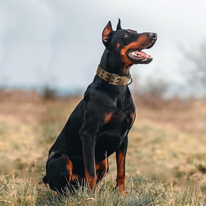 Tactical Dog Collar Military Adjustable Dog Collars Soft Nylon Training Collar - Image 7