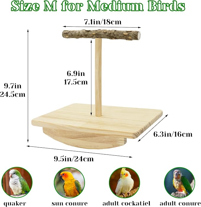 Natural Wood Bird Perch Stand Training, Quaker Parrot Toys, Intelligence Puzzle - Image 4