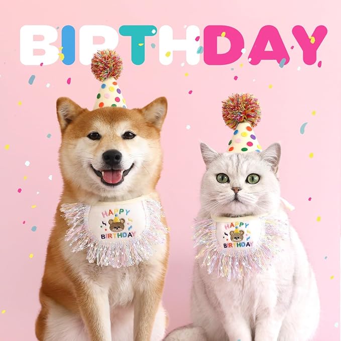 Dog Princess Costumes Puppy Birthday Bandana Scarf and Party Hat Cute Lace Dog - Image 4