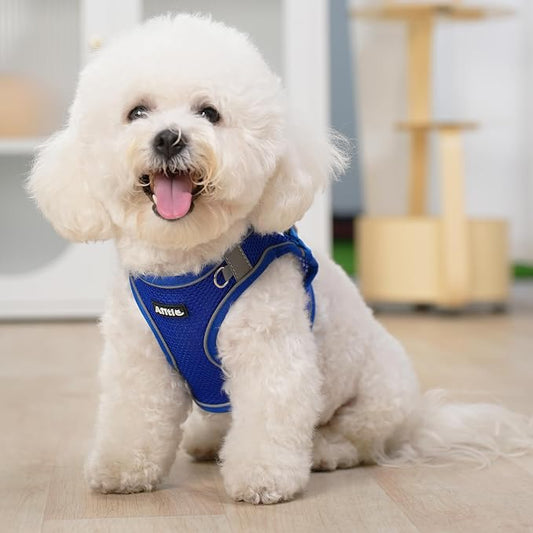 AIITLE No Pull Dog Harness and Leash Set, Step in Adjustable Dog Harness - Image 2