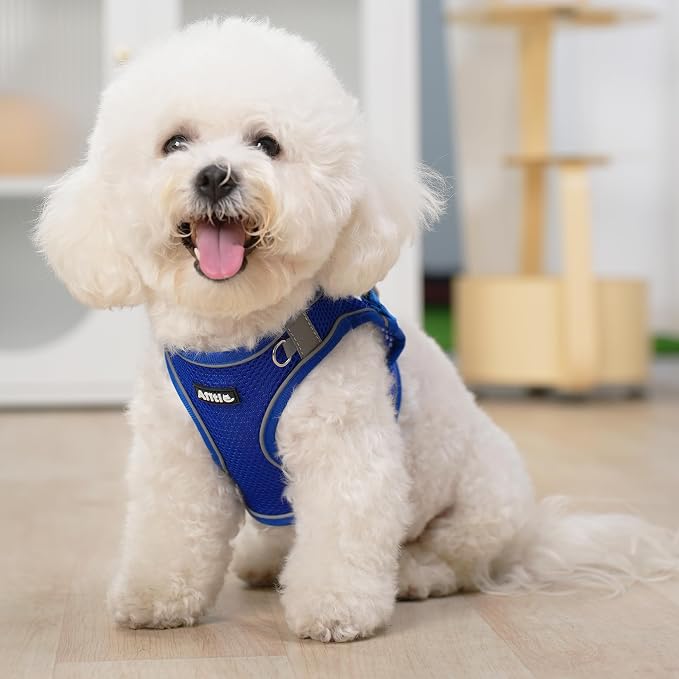 AIITLE Easy Walk Dog Harness and Leash Set - Image 5