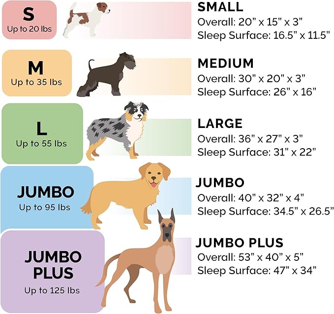 FurHaven Orthopedic Dog Bed & goDog Toy - Image 7