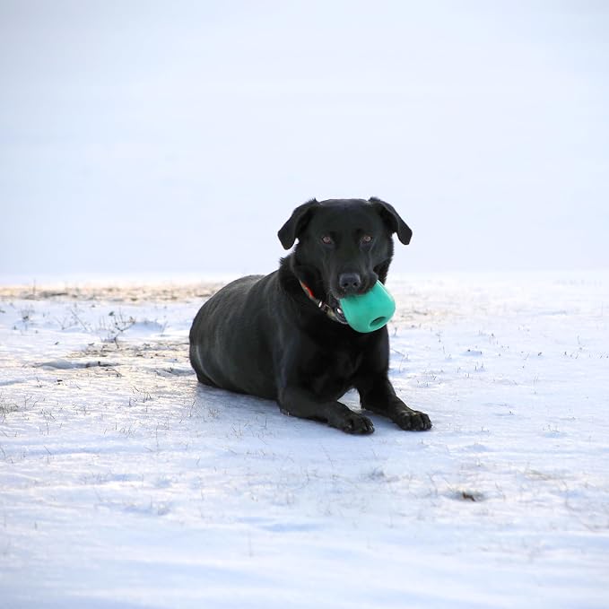 Chew King by Mammoth Premium Treat Dispensing Dog Toy, Durable Natural Rubber - Image 2