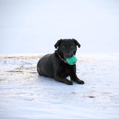 Chew King by Mammoth Premium Treat Dispensing Dog Toy, Durable Natural Rubber - Image 2