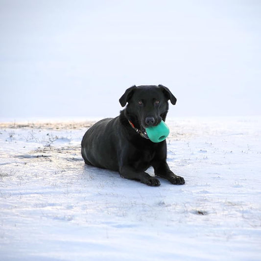 Chew King by Mammoth Premium Treat Dispensing Dog Toy, Durable Natural Rubber - Image 2
