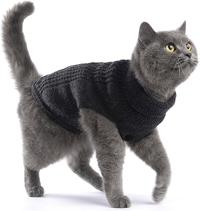 Stretchy Cat Sweater - Image 3