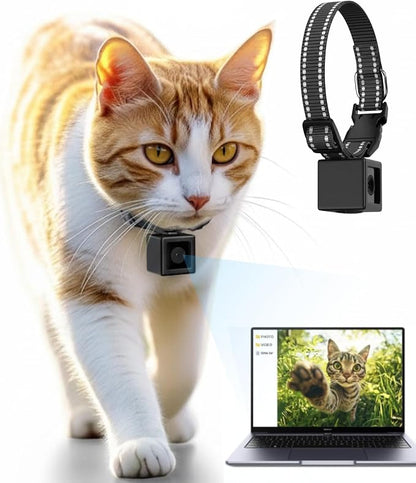 Cat Camera Collar 1080P HD Video Recording Pet POV Cam, NO WiFi NO APP by Unknown