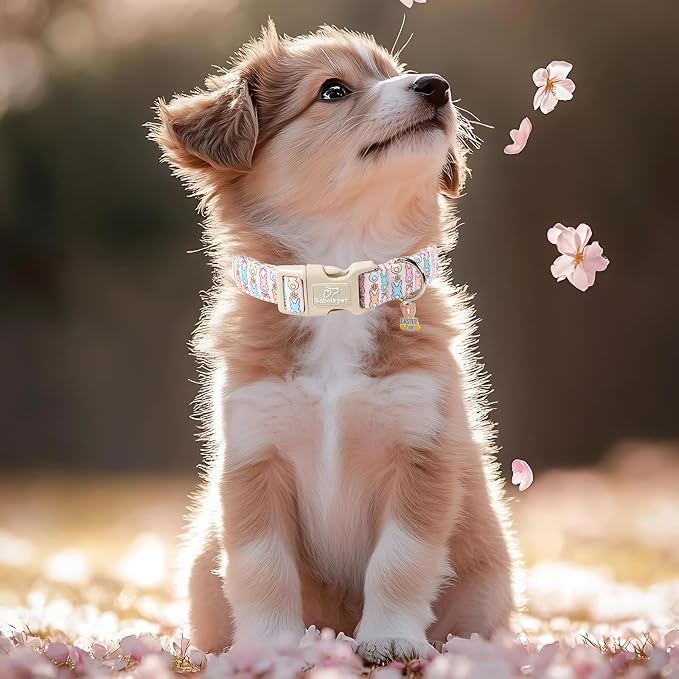 Easter Dog Collar for Large Dogs - Image 7
