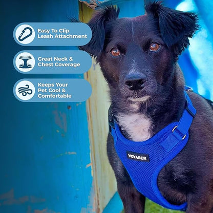 Voyager Step-in Pet Harness - Image 3