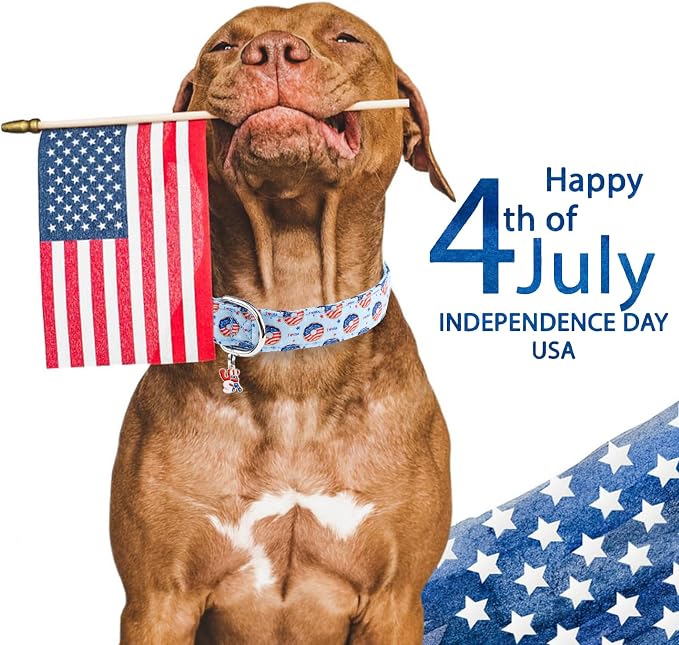 Faygarsle Patriotic Dog Collar, 4th of July Design, American Flag Pattern - Image 6